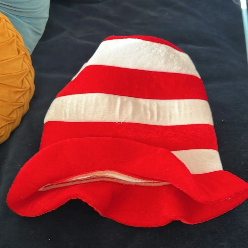Dr Seuss hat